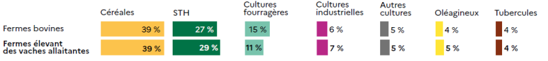 Graphique comparatif illustrant la répartition des surfaces agricoles selon les types de cultures dans les fermes bovines et les fermes élevant des vaches allaitantes. Les deux catégories présentent une structure culturale très proche. Les céréales occupent 39 % de la surface agricole utile dans les deux cas. Les surfaces toujours en herbe (STH) représentent 27 % pour les fermes bovines et 29 % pour celles avec vaches allaitantes. Les cultures fourragères couvrent 15 % des surfaces dans les fermes bovines et 11 % dans les fermes allaitantes. Les cultures industrielles comptent pour 6 % et 7 % respectivement, tandis que les autres cultures représentent 5 % dans les deux types d'exploitations. Enfin, les oléagineux et tubercules occupent chacun 4 à 5 % des surfaces, avec des parts identiques entre les deux catégories. Ces données montrent une orientation majoritairement céréalière, complétée par une part importante de prairies et de cultures fourragères, caractéristiques des systèmes d'élevage bovin.