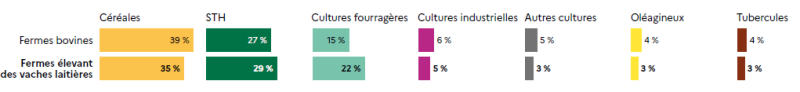 Graphique en barres comparant la répartition des surfaces agricoles selon l'usage dans les fermes bovines et dans celles élevant des vaches laitières. Céréales : 39 % pour les fermes bovines, 35 % pour les fermes avec vaches laitières. Surfaces toujours en herbe (STH) : 27 % pour les fermes bovines, 29 % pour les fermes avec vaches laitières. Cultures fourragères : 15 % pour les fermes bovines, 22 % pour les fermes avec vaches laitières. Cultures industrielles : 6 % pour les fermes bovines, 5 % pour les fermes avec vaches laitières. Autres cultures : 5 % pour les fermes bovines, 3 % pour les fermes avec vaches laitières. Oléagineux : 4 % pour les fermes bovines, 3 % pour les fermes avec vaches laitières. Tubercules : 4 % pour les fermes bovines, 3 % pour les fermes avec vaches laitières.