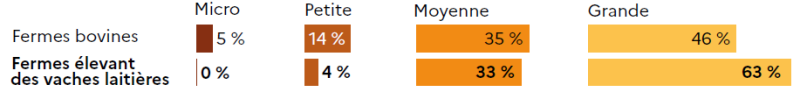 Graphique en barres comparant la taille économique des fermes bovines et des fermes élevant des vaches laitières. Micro : 5 % des fermes bovines, 0 % des fermes avec vaches laitières. Petite : 14 % des fermes bovines, 4 % des fermes avec vaches laitières. Moyenne : 35 % des fermes bovines, 33 % des fermes avec vaches laitières. Grande : 46 % des fermes bovines, 63 % des fermes avec vaches laitières.